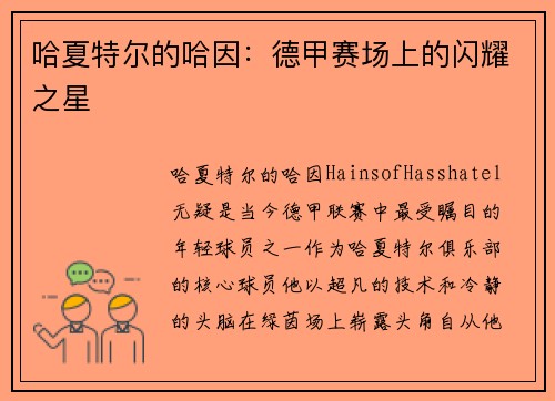 哈夏特尔的哈因：德甲赛场上的闪耀之星