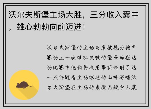 沃尔夫斯堡主场大胜，三分收入囊中，雄心勃勃向前迈进！